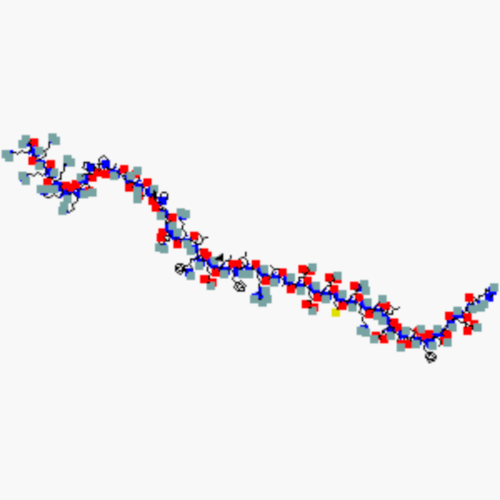 GLP-1 & Incretin Metabolic Peptides
